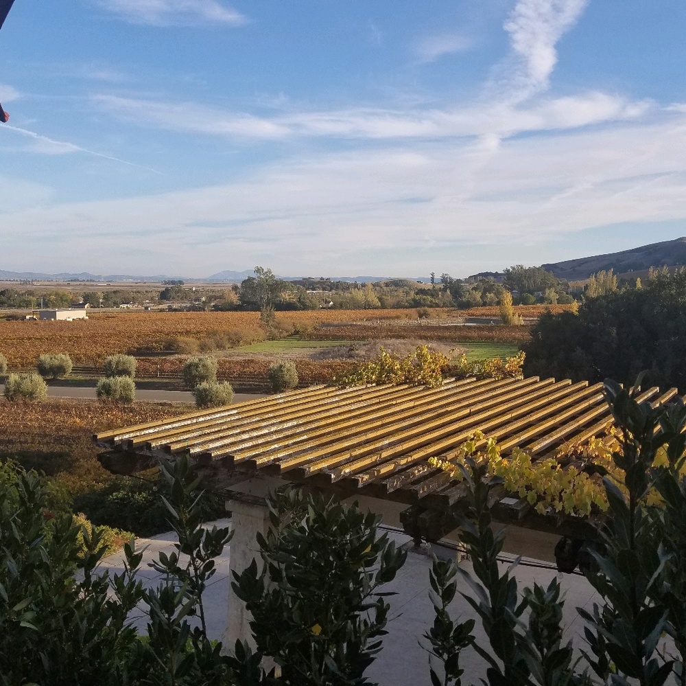 Meet your Posher, Tea